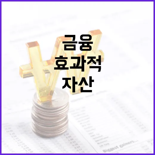 금융 자산을 효과적으로 관리하는 방법 - 요약
