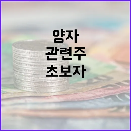 양자 관련주에 투자하는 방법: 초보자를 위한 가이드 - 요약
