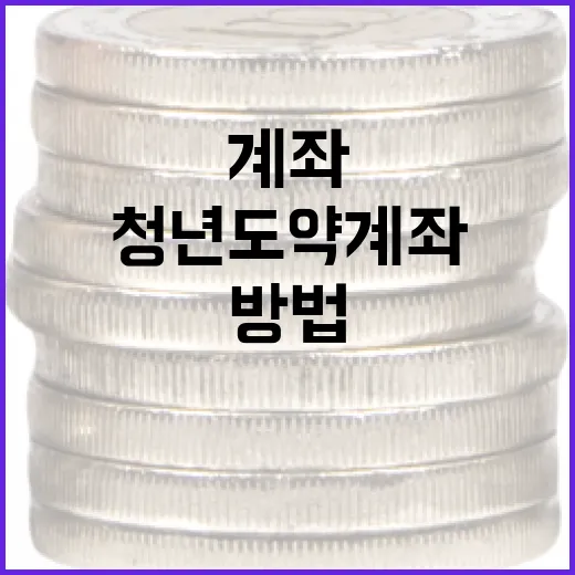 청년도약계좌 활용 방법: 청년들을 위한 재테크 전략 - 요약