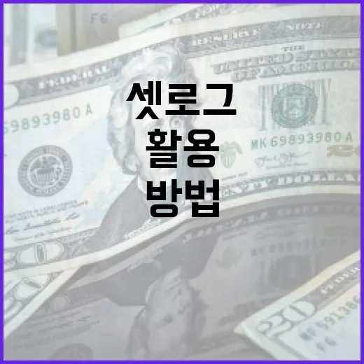 셋로그를 효과적으로 이해하고 활용하는 방법 - 요약