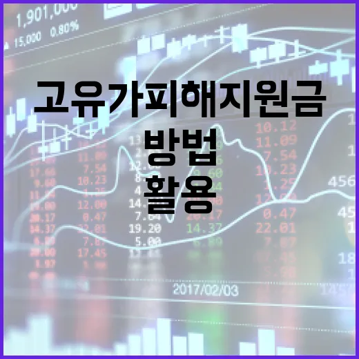 고유가 피해지원금을 최대한 활용하는 방법 - 요약