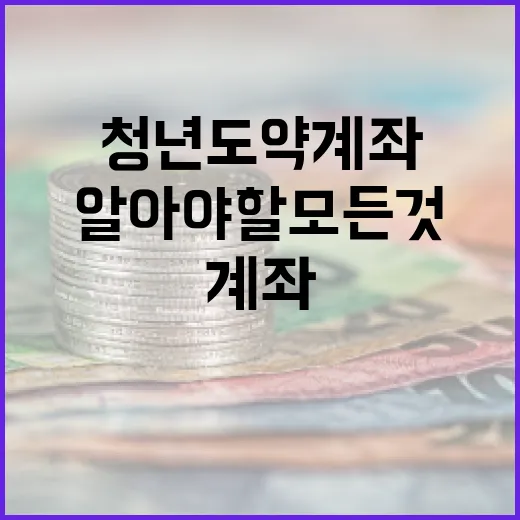 청년도약계좌를 시작하는 방법: 알아야 할 모든 것 - 요약