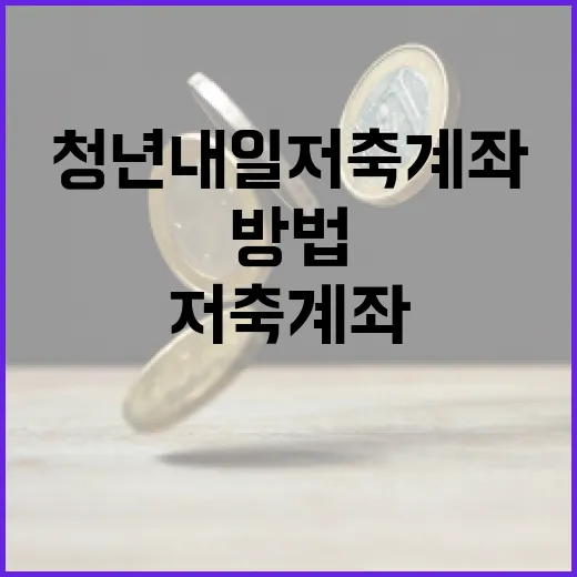 청년내일저축계좌를 최대한 활용하는 방법 - 요약