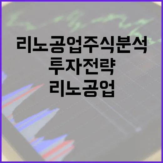 리노공업 주식 분석 및 투자 전략을 세우는 방법 - 요약