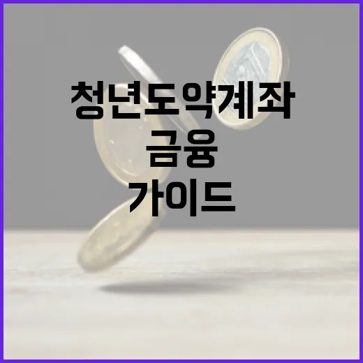 청년도약계좌 활용하는 방법: 금융 전문가의 가이드 - 요약