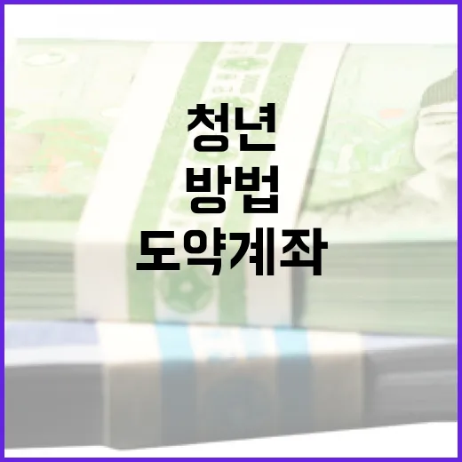 청년도약계좌를 활용하는 방법 - 요약