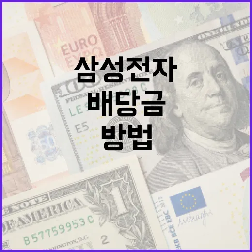 삼성전자 배당금을 이해하고 활용하는 방법 - 요약