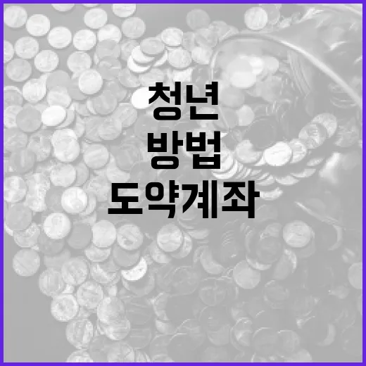 청년도약계좌를 활용하는 방법 - 요약