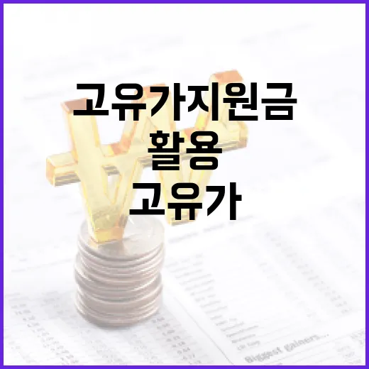 고유가지원금을 효과적으로 활용하는 방법 - 요약