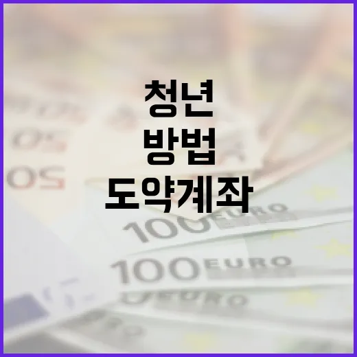 청년도약계좌를 활용하는 방법 - 요약