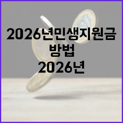 2026년 민생지원금을 최대한 활용하는 방법 - 요약