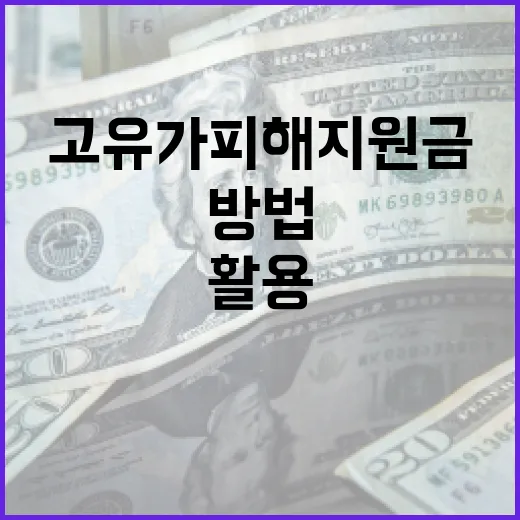 고유가 피해지원금을 효율적으로 활용하는 방법 - 요약