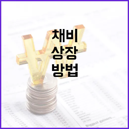 채비 상장을 준비하는 방법 - 요약