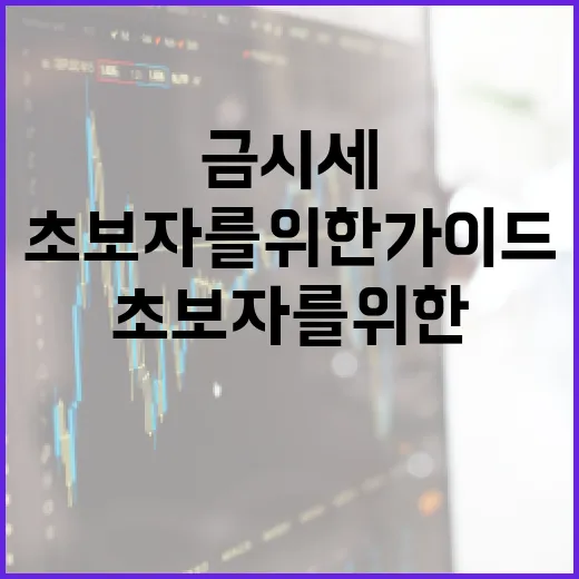 금시세 이해하는 방법: 초보자를 위한 가이드 - 요약