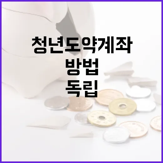 청년도약계좌를 활용하여 재정적 독립을 이루는 방법 - 요약