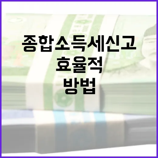 종합소득세신고를 효율적으로 완료하는 방법 - 요약