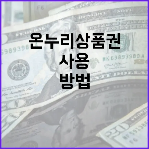 온누리상품권을 효과적으로 사용하는 방법 - 요약