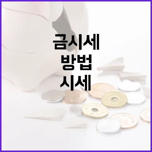 금시세를 이해하고 분석하는 방법 - 요약