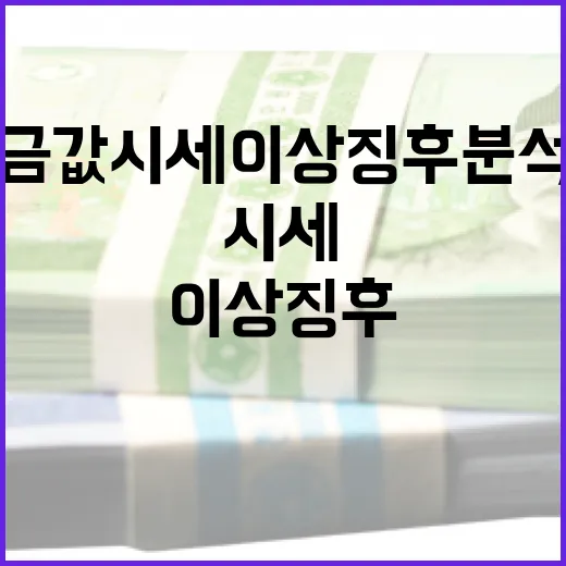 금값 시세 이상 징후 분석하는 방법 - 요약