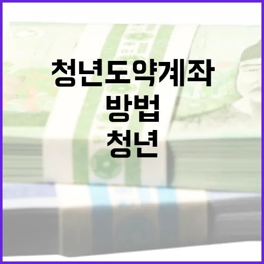 청년도약계좌를 이해하고 활용하는 방법 - 요약