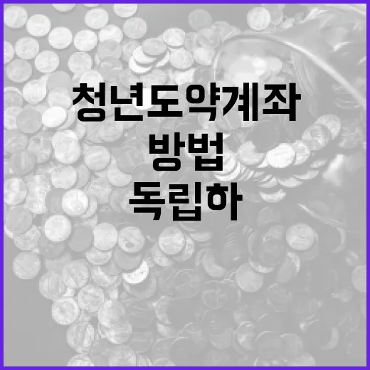 청년도약계좌를 통해 재정적으로 독립하는 방법 - 요약