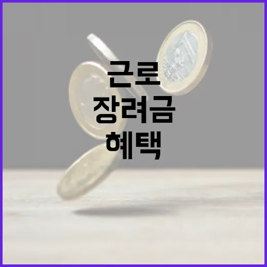 근로·자녀장려금 혜택을 최대화하는 방법 - 요약