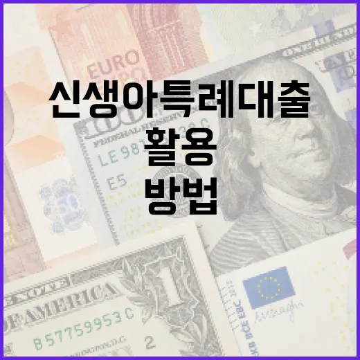 신생아 특례대출을 효과적으로 활용하는 방법 - 요약