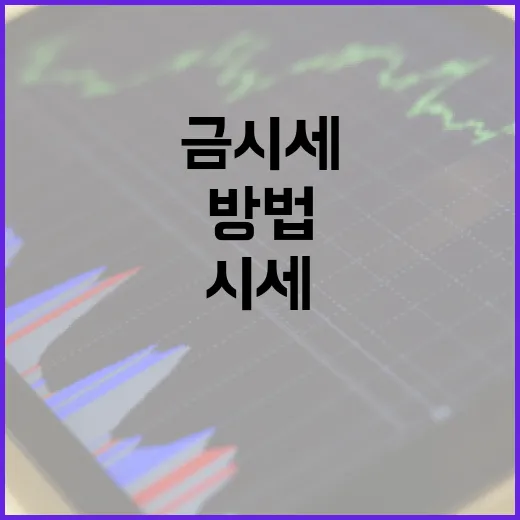 금시세를 이해하고 분석하는 방법 - 요약