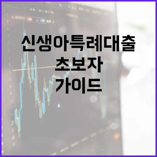 신생아 특례대출을 활용하는 방법: 초보자를 위한 가이드 - 요약