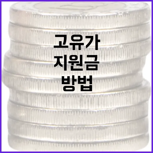고유가지원금을 활용하는 방법 - 요약