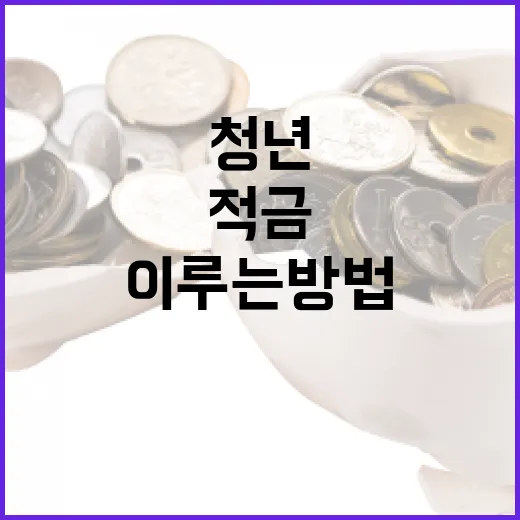 청년적금을 통해 재정적 안정을 이루는 방법 - 요약