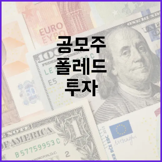 폴레드 공모주 투자에 성공하는 방법 - 요약