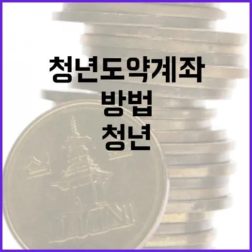 청년도약계좌를 활용하는 방법 - 요약