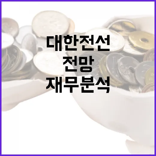 대한전선에 투자하는 방법: 재무 분석과 시장 전망 - 요약