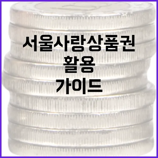 서울사랑상품권 활용 방법: 경제적인 소비를 위한 가이드 - 요약