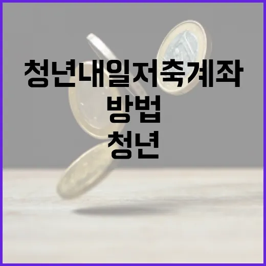 청년내일저축계좌를 활용하는 방법 - 요약