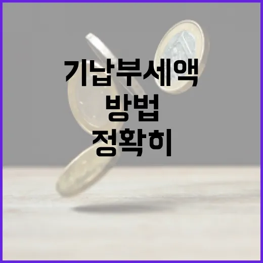 기납부세액이란? 정확히 이해하고 활용하는 방법 - 요약