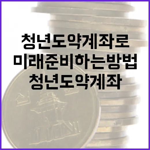청년도약계좌로 금융 미래 준비하는 방법 - 요약