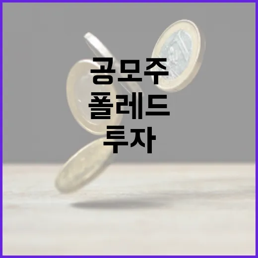 폴레드 공모주 투자 성공하는 방법 - 요약
