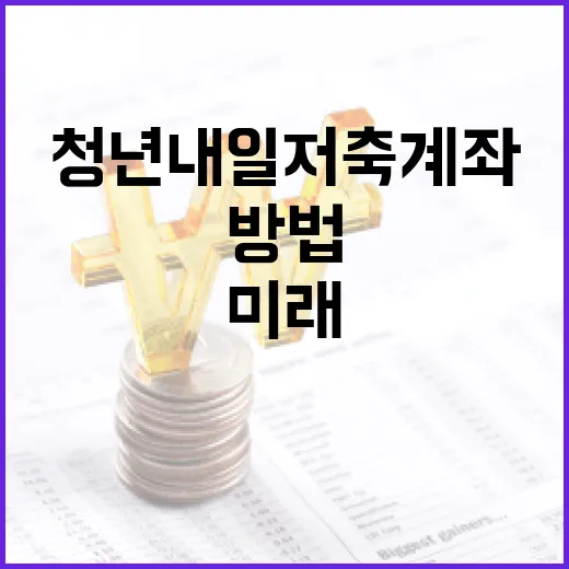 청년내일저축계좌를 활용하여 미래를 준비하는 방법 - 요약