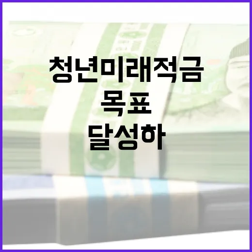 청년미래적금을 활용하여 재정적 목표를 달성하는 방법 - 요약