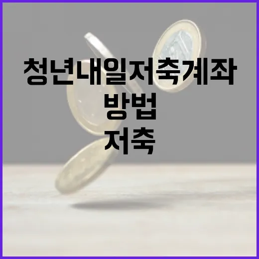 청년내일저축계좌를 통해 재정 건전성 높이는 방법 - 요약
