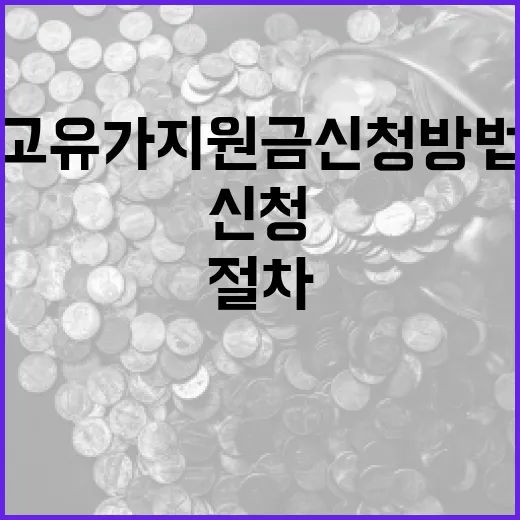 고유가 지원금 신청 방법: 절차와 팁 - 요약