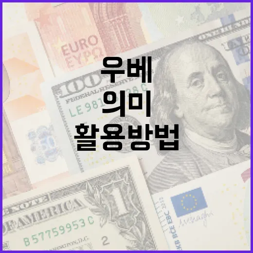 ‘우베’의 의미와 금융에서의 활용 방법 - 요약