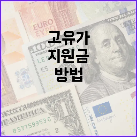 고유가지원금을 활용하는 방법 - 요약