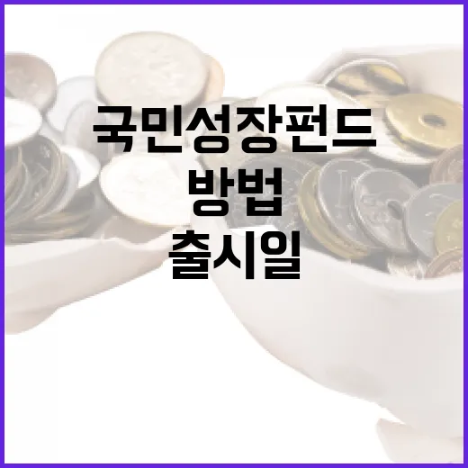 국민성장펀드 출시일을 준비하는 방법 - 요약