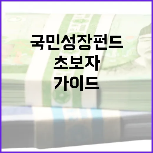 국민성장펀드를 활용하는 방법: 투자 초보자를 위한 가이드 - 요약