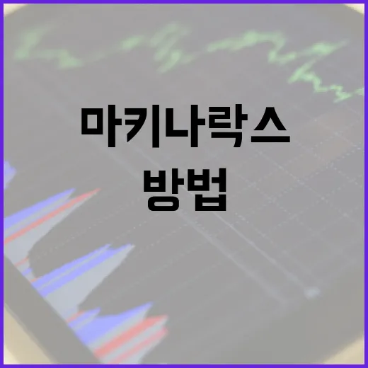 마키나락스를 이해하고 활용하는 방법 - 요약