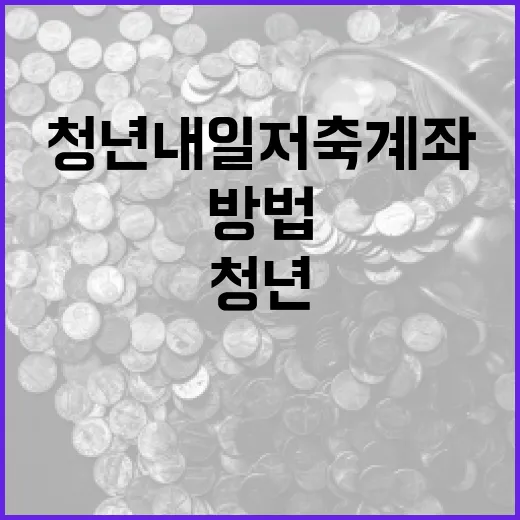 청년내일저축계좌를 활용하는 방법 - 요약
