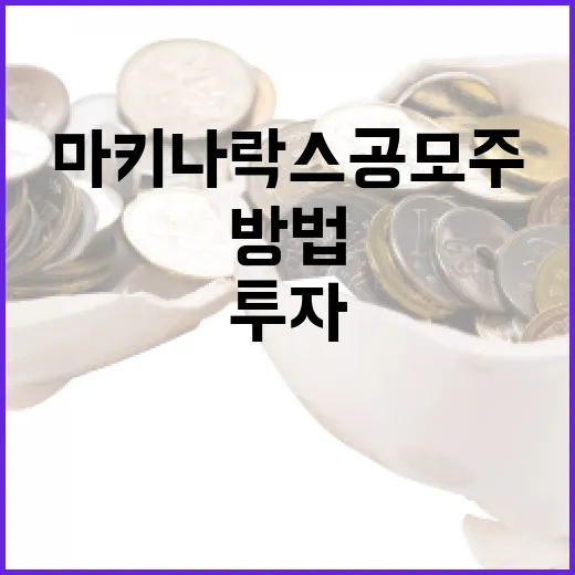 마키나락스 공모주 투자 방법: 성공적인 투자를 위한 가이드 - 요약